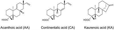 Identification of the antibacterial action mechanism of diterpenoids through transcriptome profiling